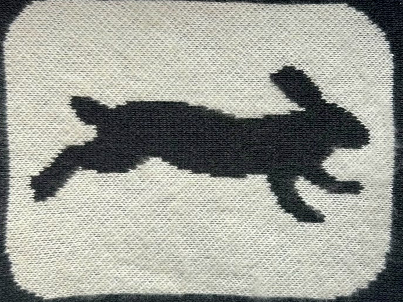 Zoetrope Bunny Scarf in Charcoal Gray - 100% Organic Cotton